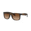 Gafas Unisex Ray-Ban Justin 55mm RB4165-710/13