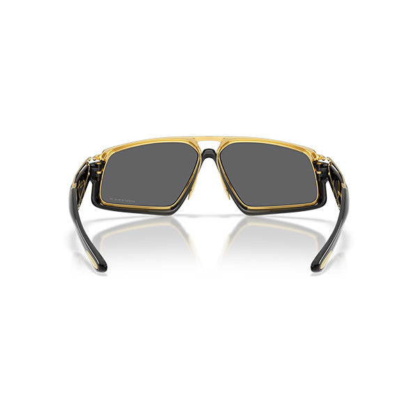 Gafas Hombre Oakley Polarizadas Massillon OO6029-01