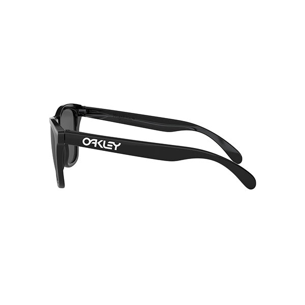 Gafas Unisex Oakley Frogskins OO9013-C4