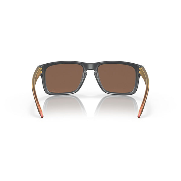 Gafas Hombre Oakley Holbrook Polarizada OO9102-W4