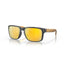 Gafas Hombre Oakley Holbrook Polarizada OO9102-W4