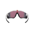 Gafas Unisex Oakley Jawbreaker OO9290-05