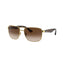 Gafas Unisex Ray-Ban RB3533-001/13
