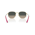 Gafas Unisex Ray-Ban Hexagonal 51mm RB3548N-001/71