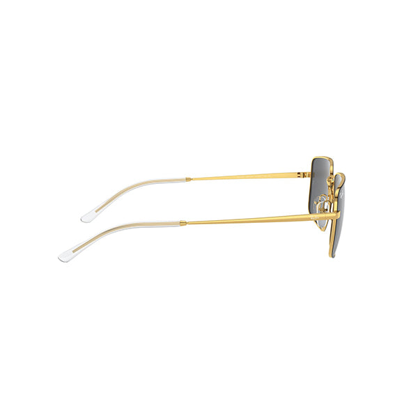 Gafas Unisex Ray-Ban Rb3669-905487 55