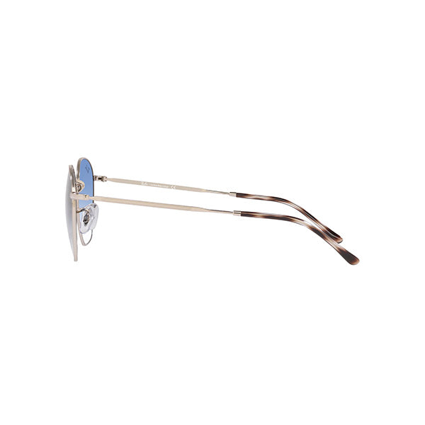Gafas Unisex Ray-Ban Rob RB3772-003/3F