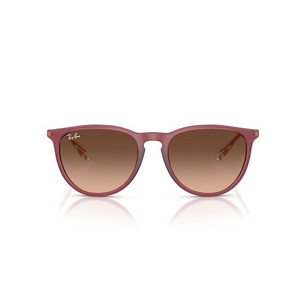 Gafas Unisex Ray-Ban Erika RB4171-6815A5