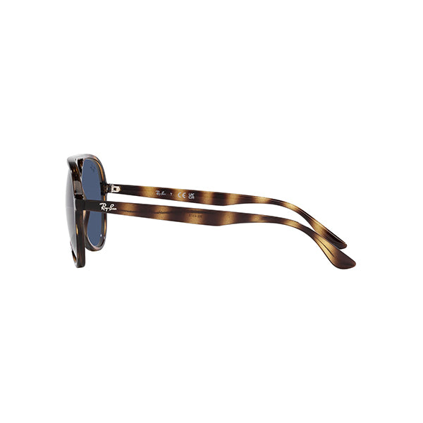 Gafas Unisex Ray-Ban RB4376-710/80