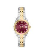 Reloj Mujer Fossil SCARLETTE ES5461